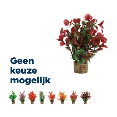 Zolux Ornament pastic plant op stenen puntig assorti