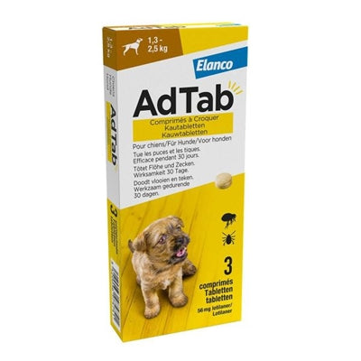 Adtab adtab masticando tableta perro