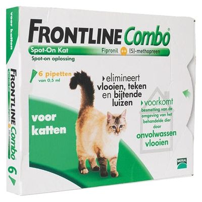 Spot combo Kat in prima linea