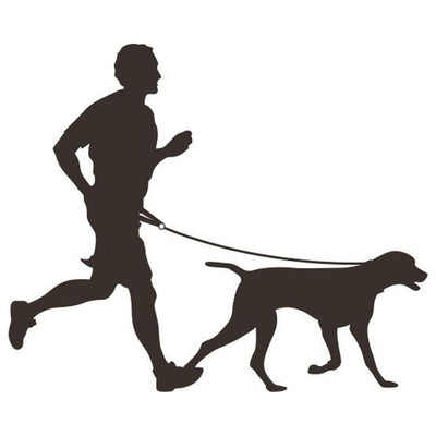 Flamingo Flamingo Dog imbracatura con cintura elastica Canicross Nero
