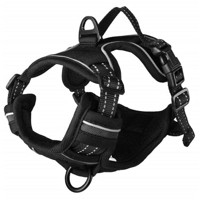 Flamingo Flamingo Dog Harness Balou XS 30-45 cm 15 mm nero