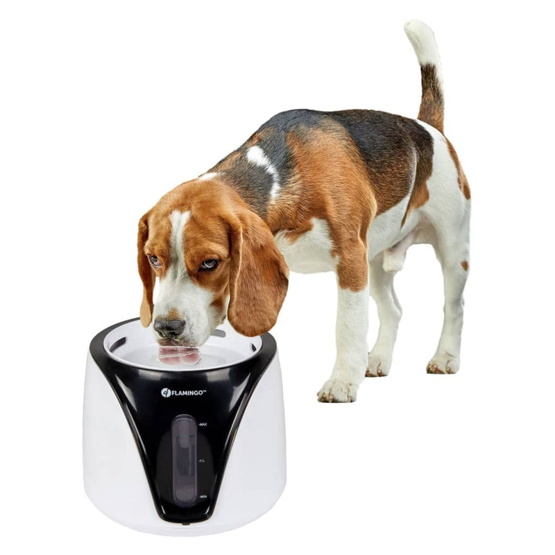 Flamingo Flamingo Pet Water Dispenser Adriana Automatic 2 L Nero