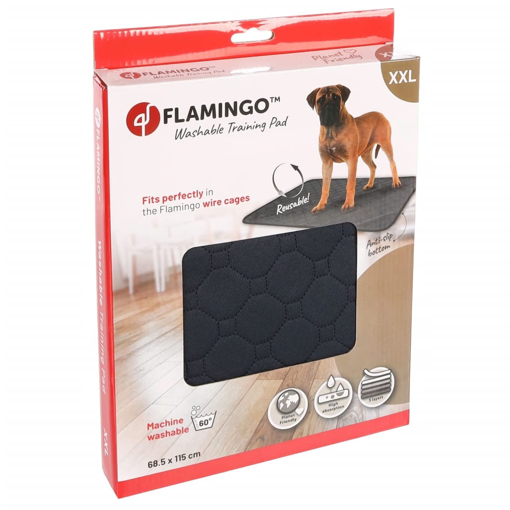 Flamingo flamingo