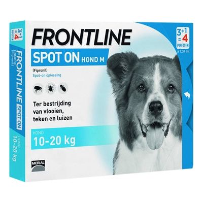 Spot del cane in prima linea su Medium