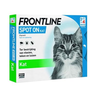 Frontline Kat Spot on