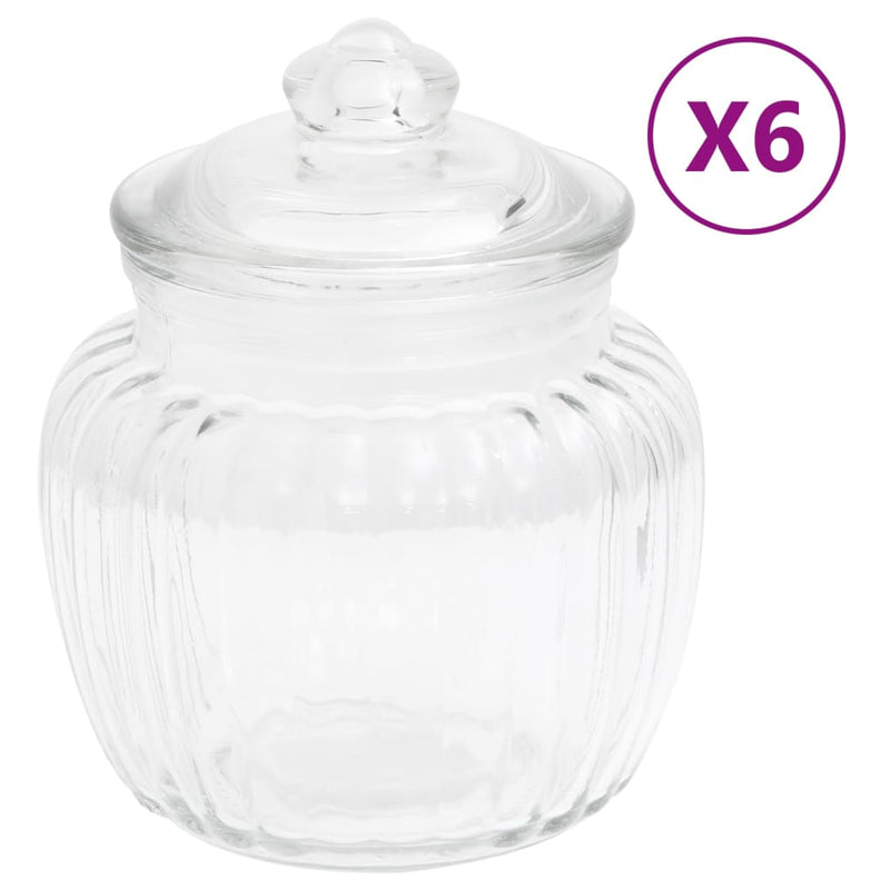 Vidaxl Storage macetas 6 ST 500 ml de vidrio