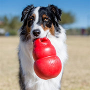 Kong Bounzer Red - afbeelding 3