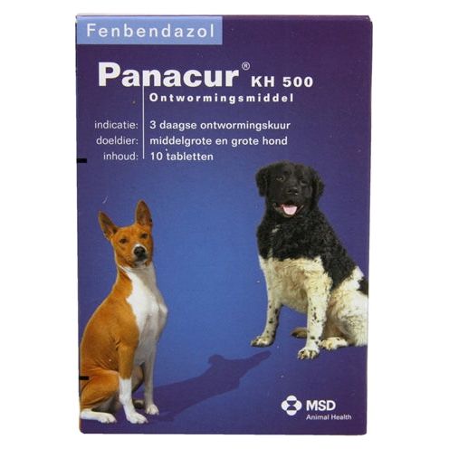 Panacur Dog Cat