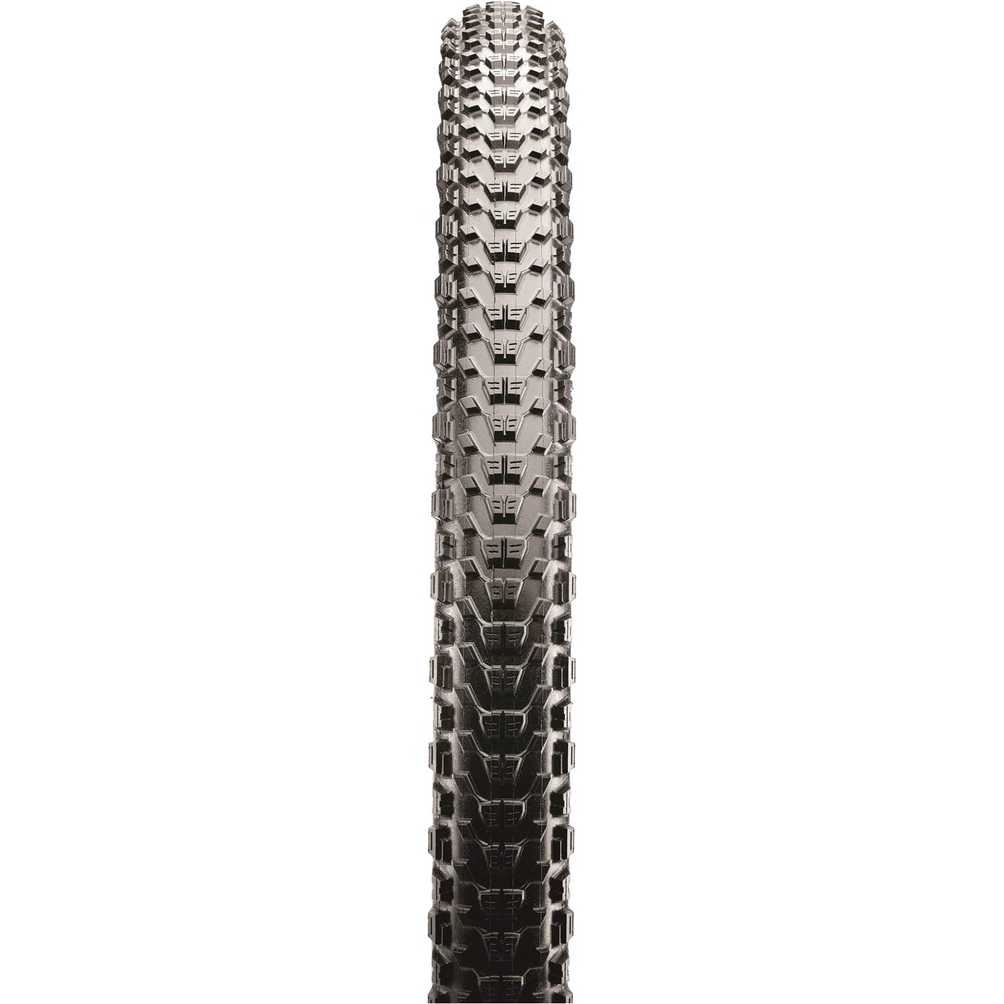 Maxxis Tire Ardent Race 29 x 2,20 volte
