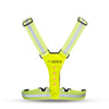 Gato Safer Sport Sport LED Neon amarillo