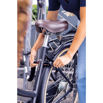 ABUS ACH 2.0 6KS100 InPeste Chain - Nero (100 cm)