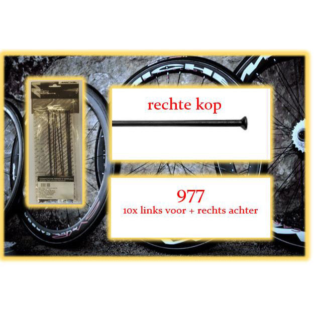 Miche Spaak+Nip. 10x LV+RA 977 Testa dritta
