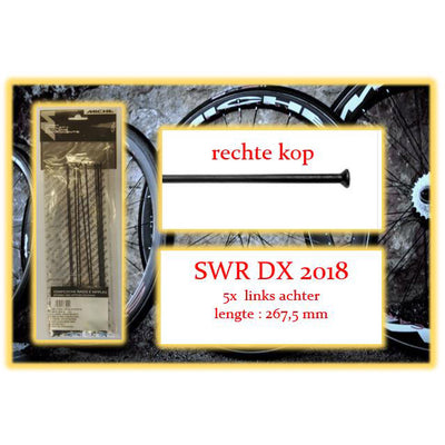 Miche Spaak+nip. 5x LA SWR DX 2018
