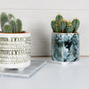 KitchenCraft Flowerpot 10 x 5 cm Blu ceramica