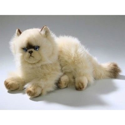 Gato persa acostado 30 cm