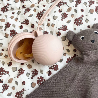 Polvere di rosa box con ciuccio Nuuroo Camille