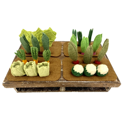 Papoose Joys Grow-A-Garden 24pc
