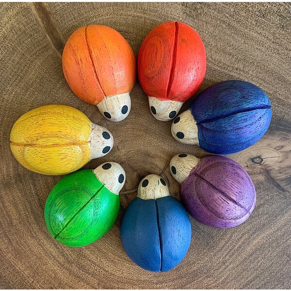 Papoose Joys Rainbow Ladybirds 7pc
