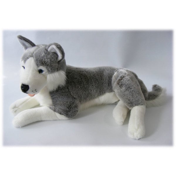 Lujoso husky 60 cm
