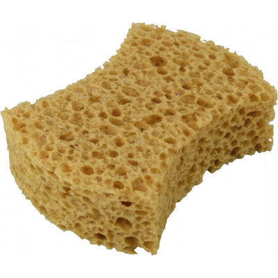 Sponge extra forte 16 x 12 x 6 cm